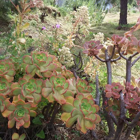 Camping La Rosa Κάμπινγκ
