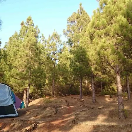 Campsite Camping La Rosa Puntagorda (La Palma)