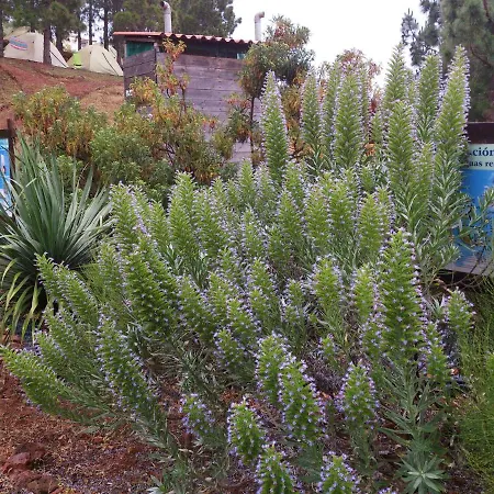 Campsite Camping La Rosa *