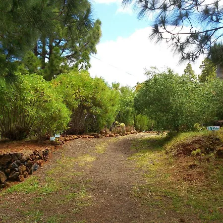 Camping La Rosa Campsite Puntagorda (La Palma)